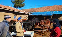 Hayvan Sağlığı İçin Veterinerler Sahada