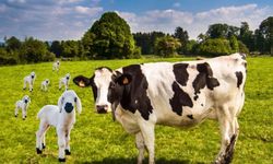 Kırşehir’de Destek Başvuruları 1 Nisan’da Başlıyor