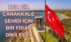 Kırşehir’de 438 Şehit Anısına Fidan Dikilecek