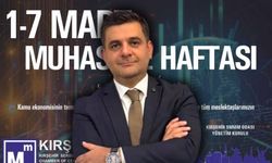 Memiş: Muhasebe Ekonominin Hafızasıdır