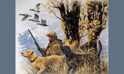 2025–2026 Av Sezonu Ülke Genelinde Kapandı