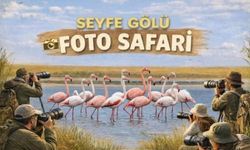 Doğaseverler Seyfe Gölü Foto Safari’de Buluşacak