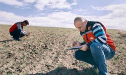 Kırşehir’de Fenolojik Gözlem Çalışmaları Sürüyor
