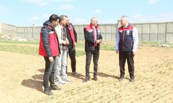 KTB’ndan Tahıl Demonstrasyon Atağı