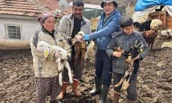 Kırşehir’de Küçükbaş Hayvanlara Yakın Takip