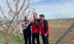 Kırşehir'de Zirai Donun Ardından Meyve Bahçeleri Kontrol Edildi