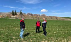 Kırşehir’de Ürün Gelişimi Yerinde İnceleniyor