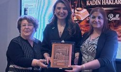 Kırşehir'de “Yaşamın İçinden Kadın Hakları” Semineri Yapıldı