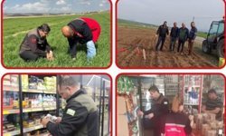 Kaman ve Akpınar'da Arazi ve Gıda Kontrolleri Devam Ediyor