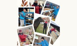 İl Müdürü Taş’tan Veteriner Hekimlere Kutlama