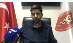 Toplum Sağlığının Sessiz Gücü: Veteriner Hekimler