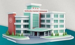 Sağlıklı Hayat Akademisi Nedir?