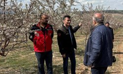 Kırşehir’de Don Alarmı: Ekipler Seferber