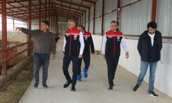 İl Müdürü Taş’tan Hayvancılık İşletmesinde İnceleme