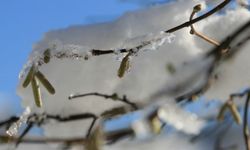 Tarım İl Müdürlüğü’nden Kritik Uyarı