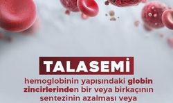 Kırşehir İl Sağlık Müdürlüğü’nden Talasemi Uyarısı