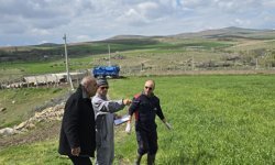 Kaman’da Portatif Ağıl Projesi İçin Saha İncelemesi