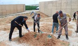 Kırşehir’de 250 Fidan Toprakla Buluştu