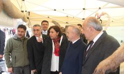 Kırşehir DKMP Standı Şenlikte İlgi Odağı Oldu
