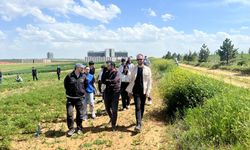 Kırşehir Gençlik Merkezi’nden Öğrencilere Tıbbi ve Aromatik Bitki Eğitimi