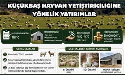 Küçükbaş Hayvancılık Yatırımlarına Destek Başladı