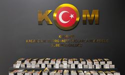 Kırşehir'de kaçakçılık operasyonunda 1 şüpheli yakalandı