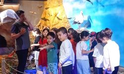 80. Yıl Anaokulu Öğrencileri Tabiat Müzesi’nde