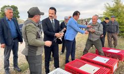 ÇİÇEKDAĞI’NDA KEKLİKLER DOĞAYA SALINDI
