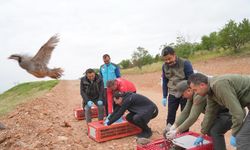 Kırşehir’de Keneye Karşı Biyolojik Savaş