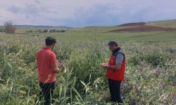 Kırşehir'de Bitkisel Üretim İçin Yoğun Mesai