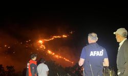 İl AFAD Müdürü Olgun Söndürme Çalışmalarını Yönetti