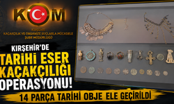 Kırşehir'de Tarihi Eser Operasyonu