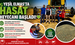 Mucur'da Yem Bezelyesi Hasadı Başladı