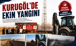 Kurugöl'de Ekin Yangını Korkuttu
