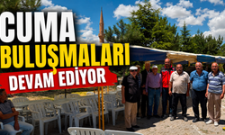 Kırşehir'de Üreticiye Destek Sürüyor