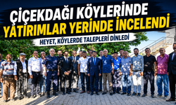 Çiçekdağı Köylerinde Yatırımlar Yerinde İncelendi