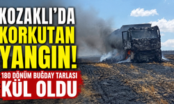 180 Dönüm Buğday Alevlere Teslim