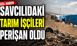 Kaman'daki Tarım İşçileri Yardım Bekliyor
