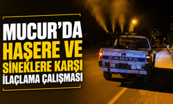 Mucur'da Sinek ve Haşerelere Karşı İlaçlama