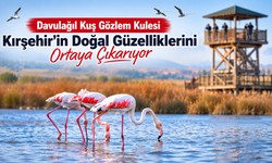 Davulağıl’da Renkli Görüntüler