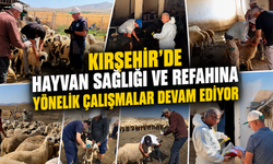 Kırşehir'de Hayvan Sağlığı İçin Sahada Yoğun Mesai