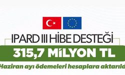 Kırşehir Kırsalına 315,7 Milyon TL Hibe Desteği