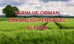 Tarım ve Orman Bakanlığı 1.874 Sözleşmeli Personel Alacak