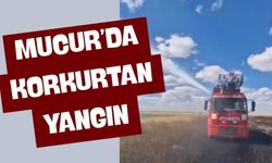 Budak Köyü'ndeki Yangın Kısa Sürede Kontrol Altına Alındı