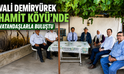 Vali Demiryürek, Kaman Hamit Köyü'nde Vatandaşlarla Buluştu