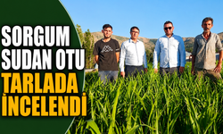 Üreticiye Umut Oldu