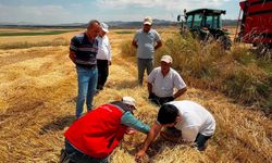 Ürün Kayıplarını Önlemek İçin Sahadalar
