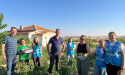 Ülkü Ocaklarında Hasat