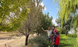 Kırşehir’de Tarımsal Alanlarda Saha Çalışmaları Sürüyor