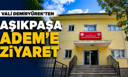 Vali Demiryürek'ten Aşıkpaşa ADEM'e Ziyaret
